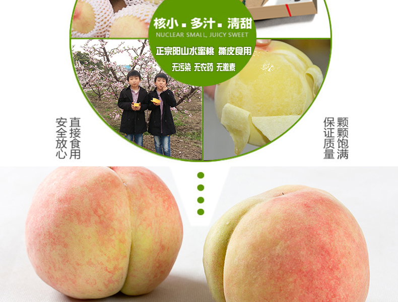 正宗阳山蜜露_阳山水蜜桃无锡特产 新鲜水果桃子7两左右6个礼盒装